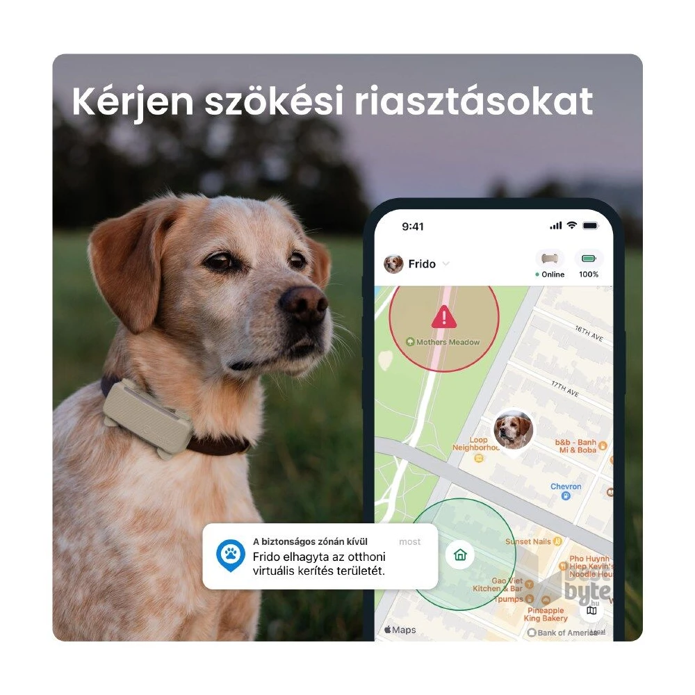 Tractive GPS DOG 6 barna kutya GPS nyomkövető és tevékenységfigyelő
