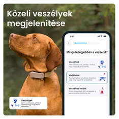 Tractive GPS DOG 6 barna kutya GPS nyomkövető és tevékenységfigyelő