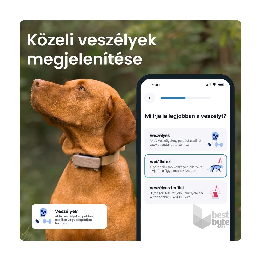 Tractive GPS DOG 6 barna kutya GPS nyomkövető és tevékenységfigyelő