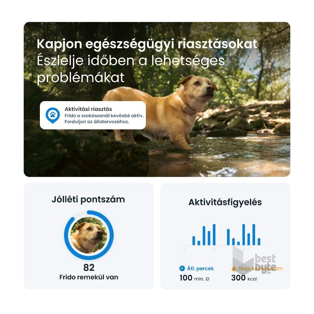 Tractive GPS DOG 6 barna kutya GPS nyomkövető és tevékenységfigyelő