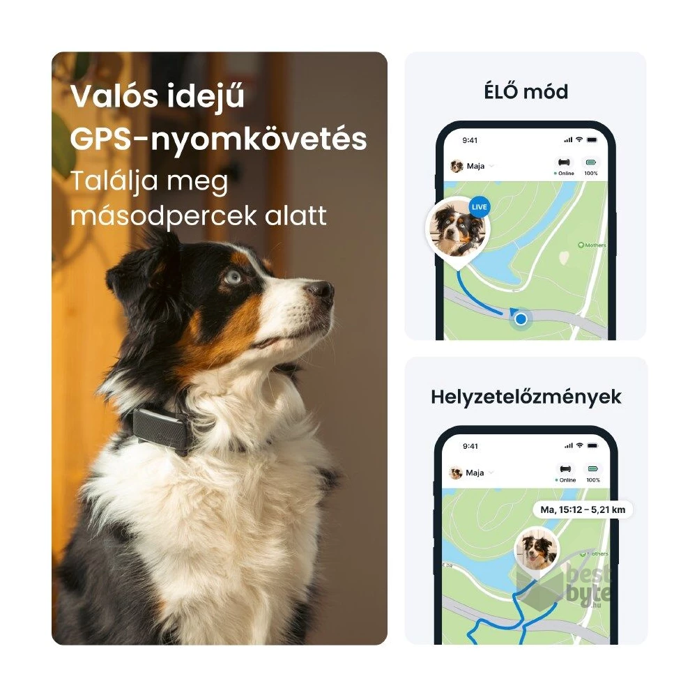 Tractive GPS DOG 6 fekete kutya GPS nyomkövető és tevékenységfigyelő