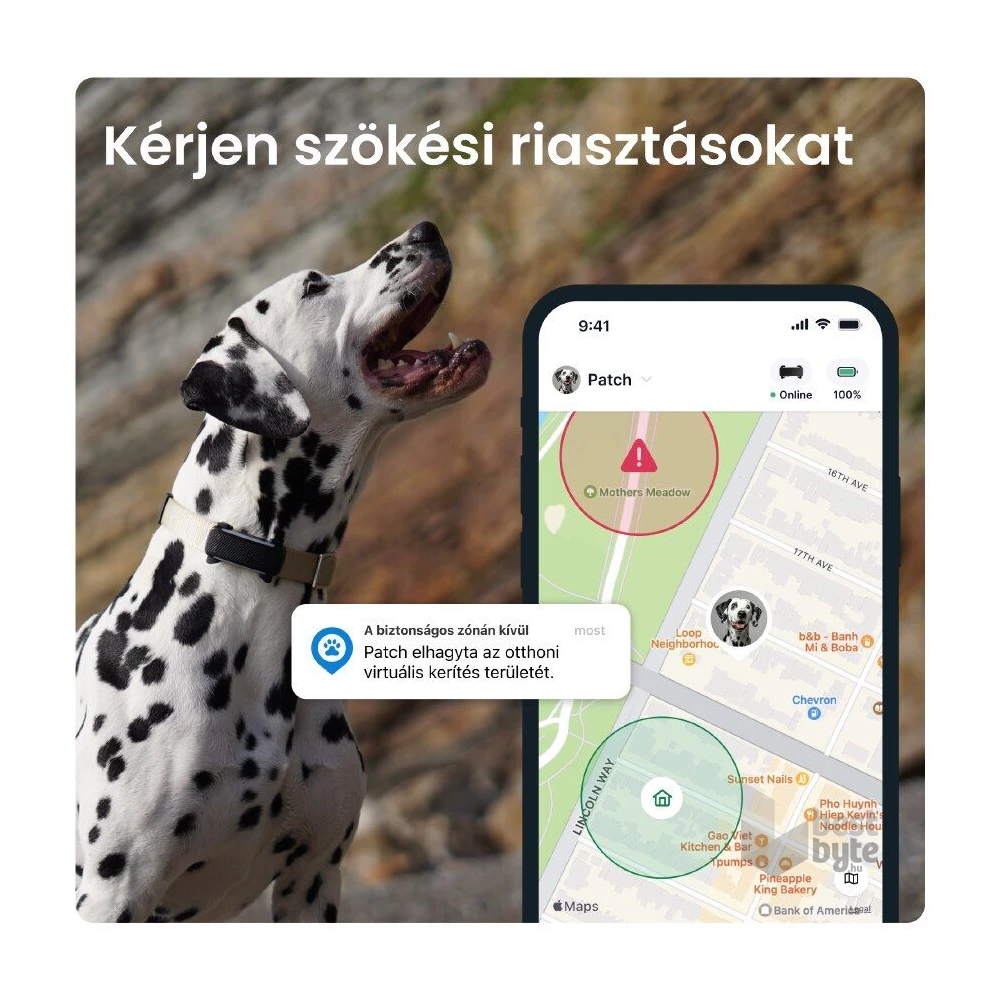 Tractive GPS DOG 6 fekete kutya GPS nyomkövető és tevékenységfigyelő