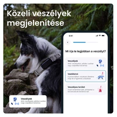 Tractive GPS DOG 6 fekete kutya GPS nyomkövető és tevékenységfigyelő