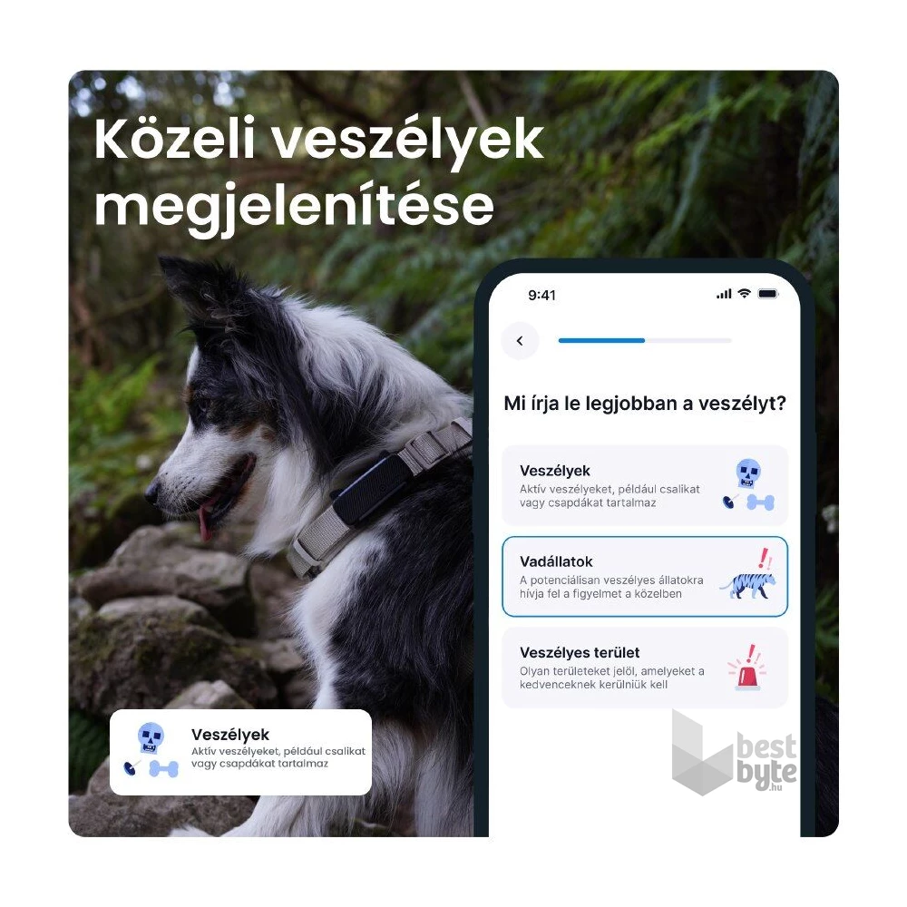 Tractive GPS DOG 6 fekete kutya GPS nyomkövető és tevékenységfigyelő