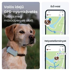 Tractive GPS DOG 6 menta kutya GPS nyomkövető és tevékenységfigyelő