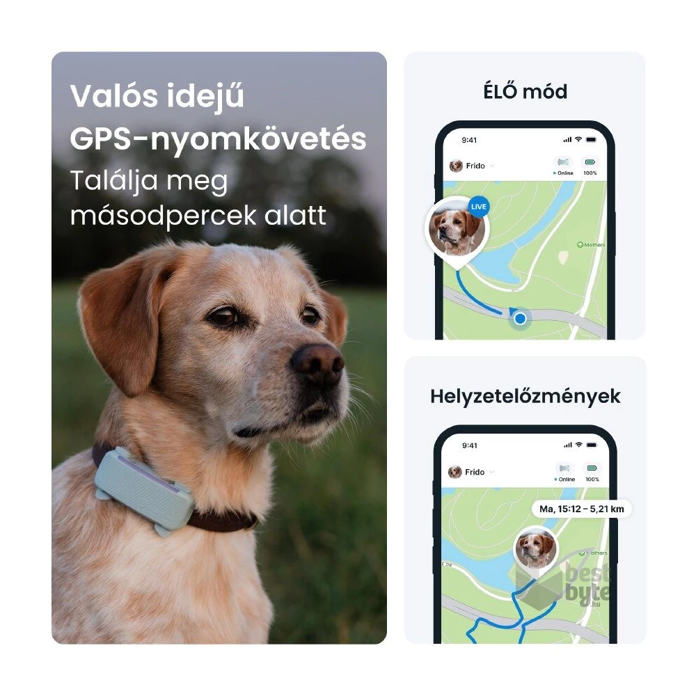 Tractive GPS DOG 6 menta kutya GPS nyomkövető és tevékenységfigyelő