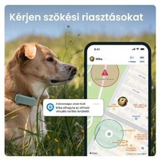 Tractive GPS DOG 6 menta kutya GPS nyomkövető és tevékenységfigyelő