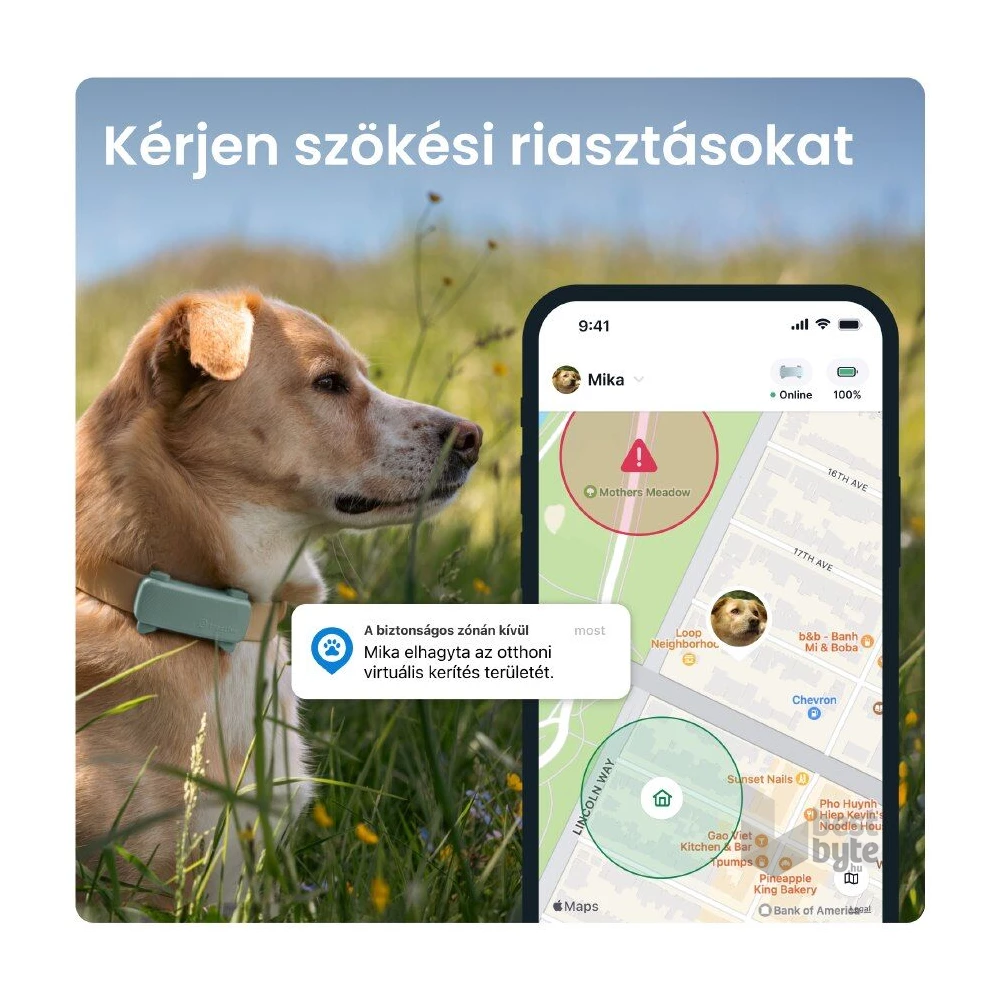 Tractive GPS DOG 6 menta kutya GPS nyomkövető és tevékenységfigyelő