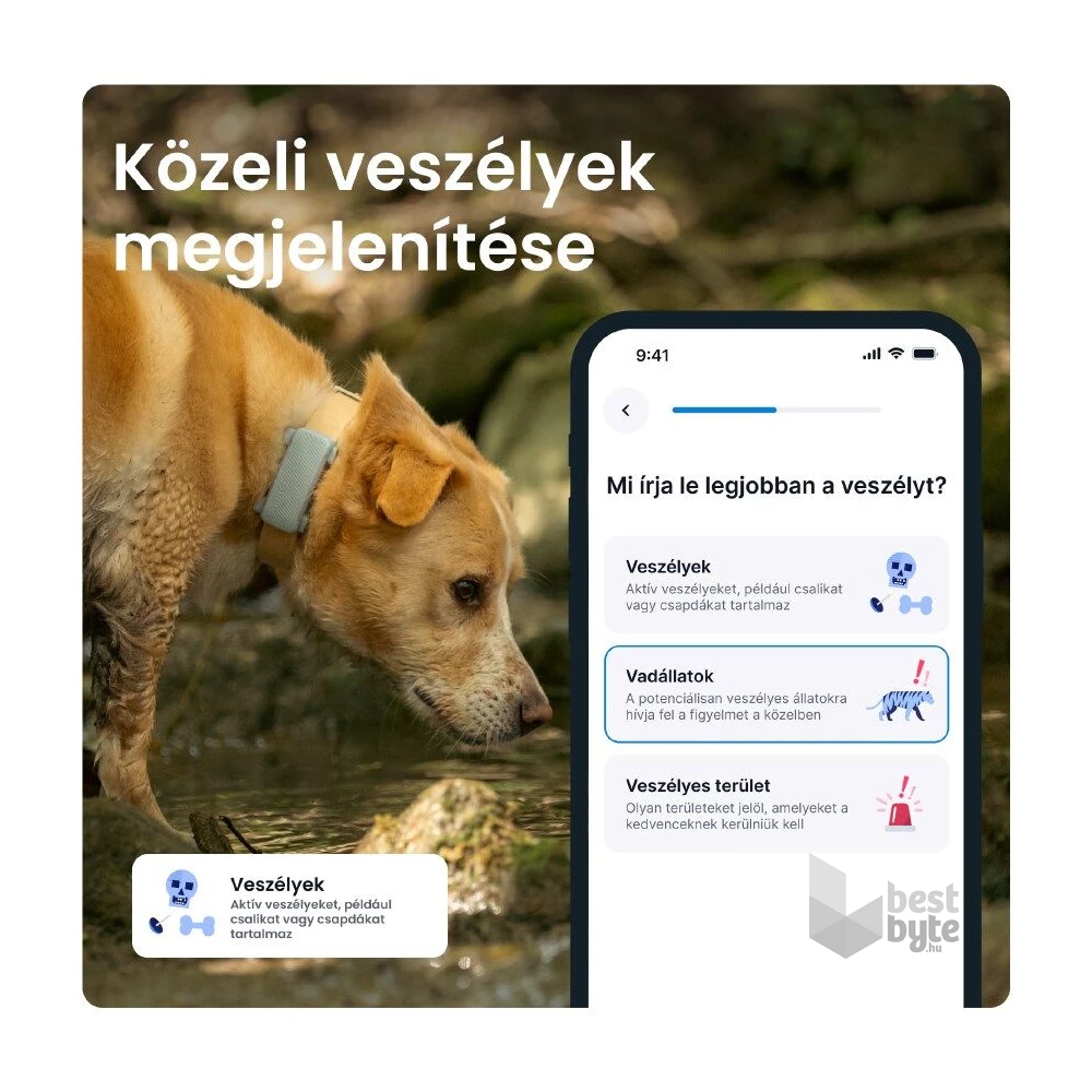 Tractive GPS DOG 6 menta kutya GPS nyomkövető és tevékenységfigyelő