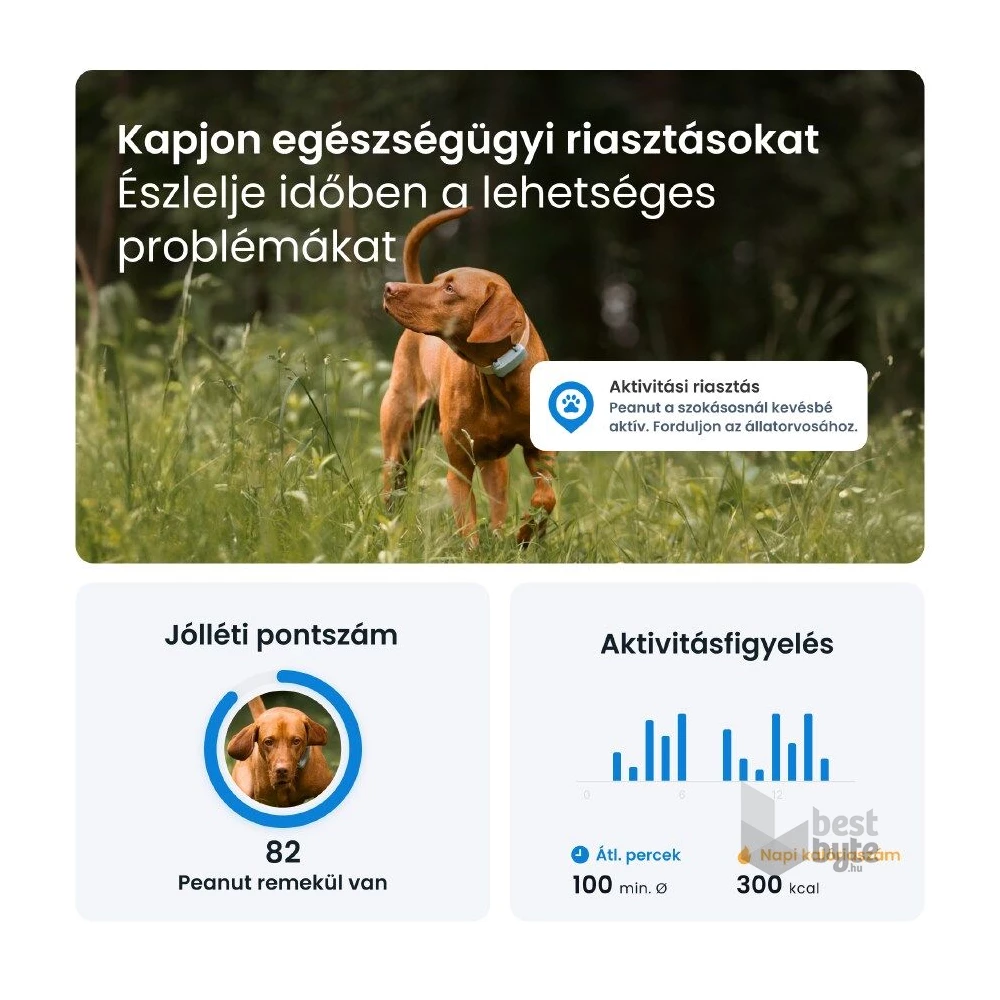 Tractive GPS DOG 6 menta kutya GPS nyomkövető és tevékenységfigyelő