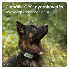 Tractive GPS DOG XL Adventure Edition kutya GPS nyomkövető és tevékenységfigyelő