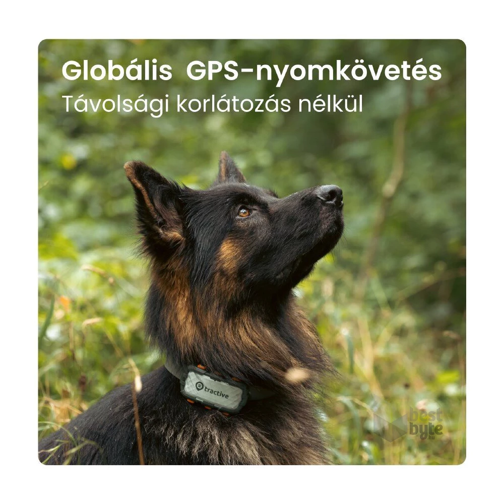 Tractive GPS DOG XL Adventure Edition kutya GPS nyomkövető és tevékenységfigyelő