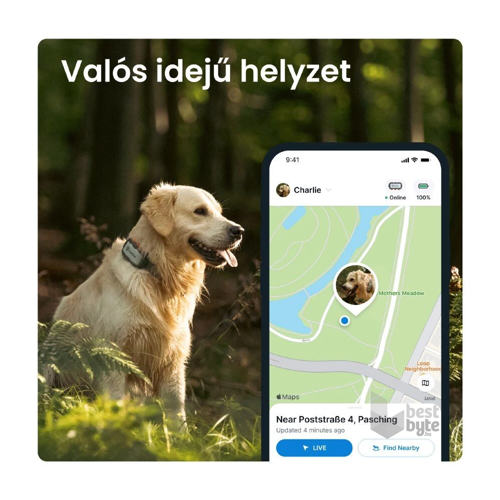 Tractive GPS DOG XL Adventure Edition kutya GPS nyomkövető és tevékenységfigyelő