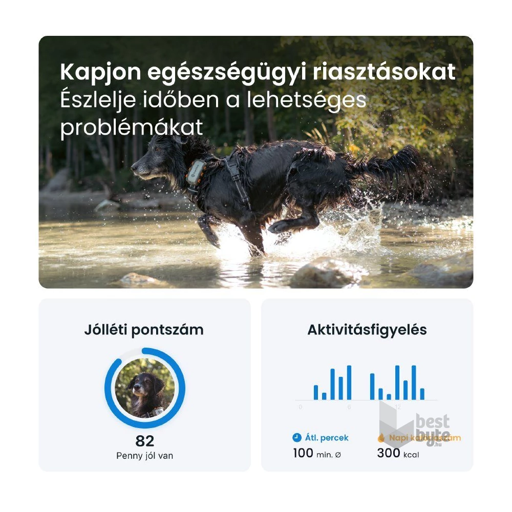 Tractive GPS DOG XL Adventure Edition kutya GPS nyomkövető és tevékenységfigyelő