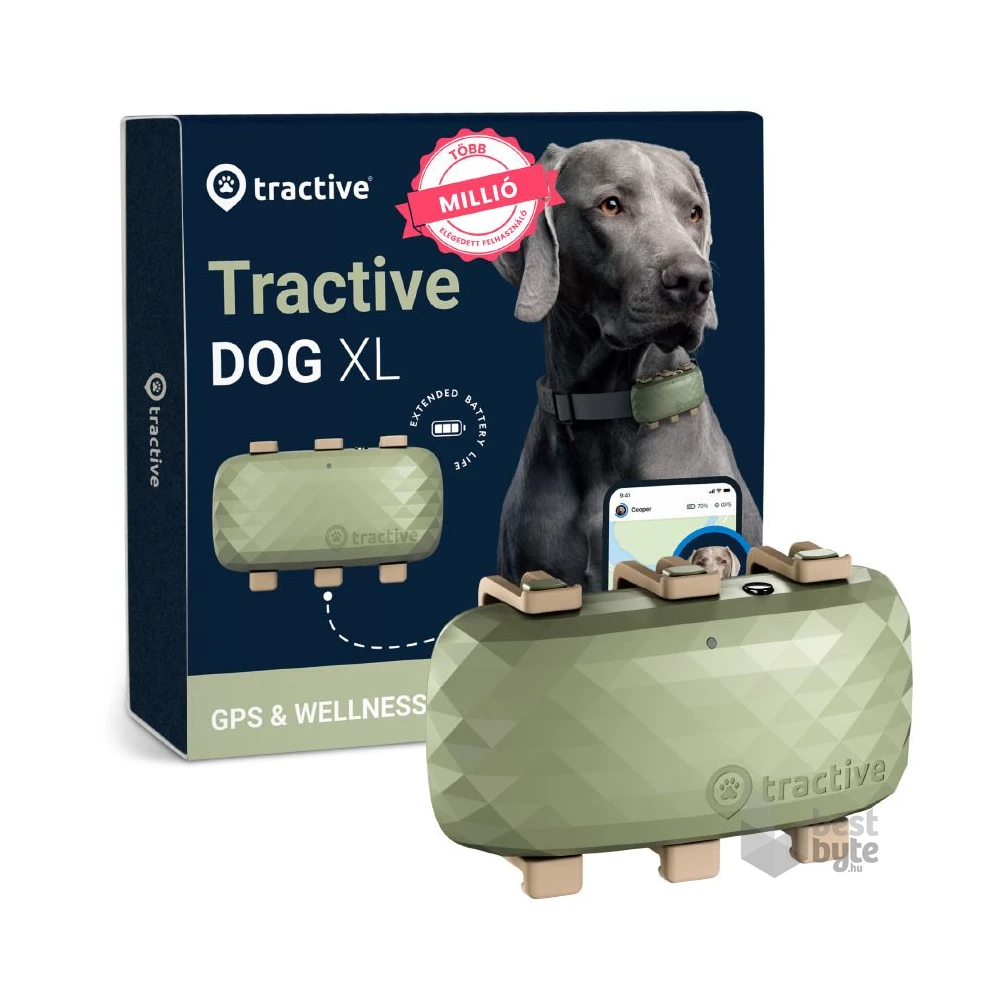 Tractive GPS DOG XL zöld kutya GPS nyomkövető és tevékenységfigyelő