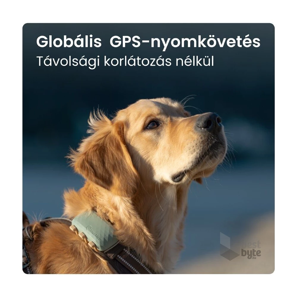Tractive GPS DOG XL zöld kutya GPS nyomkövető és tevékenységfigyelő