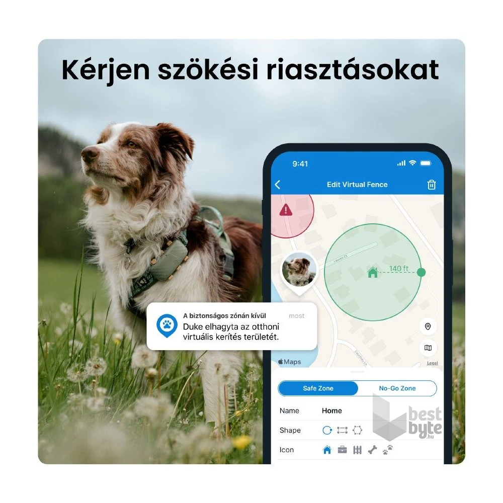 Tractive GPS DOG XL zöld kutya GPS nyomkövető és tevékenységfigyelő
