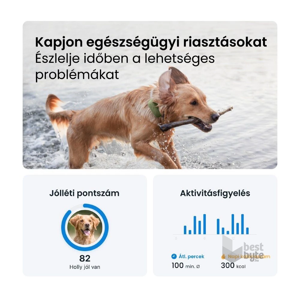 Tractive GPS DOG XL zöld kutya GPS nyomkövető és tevékenységfigyelő
