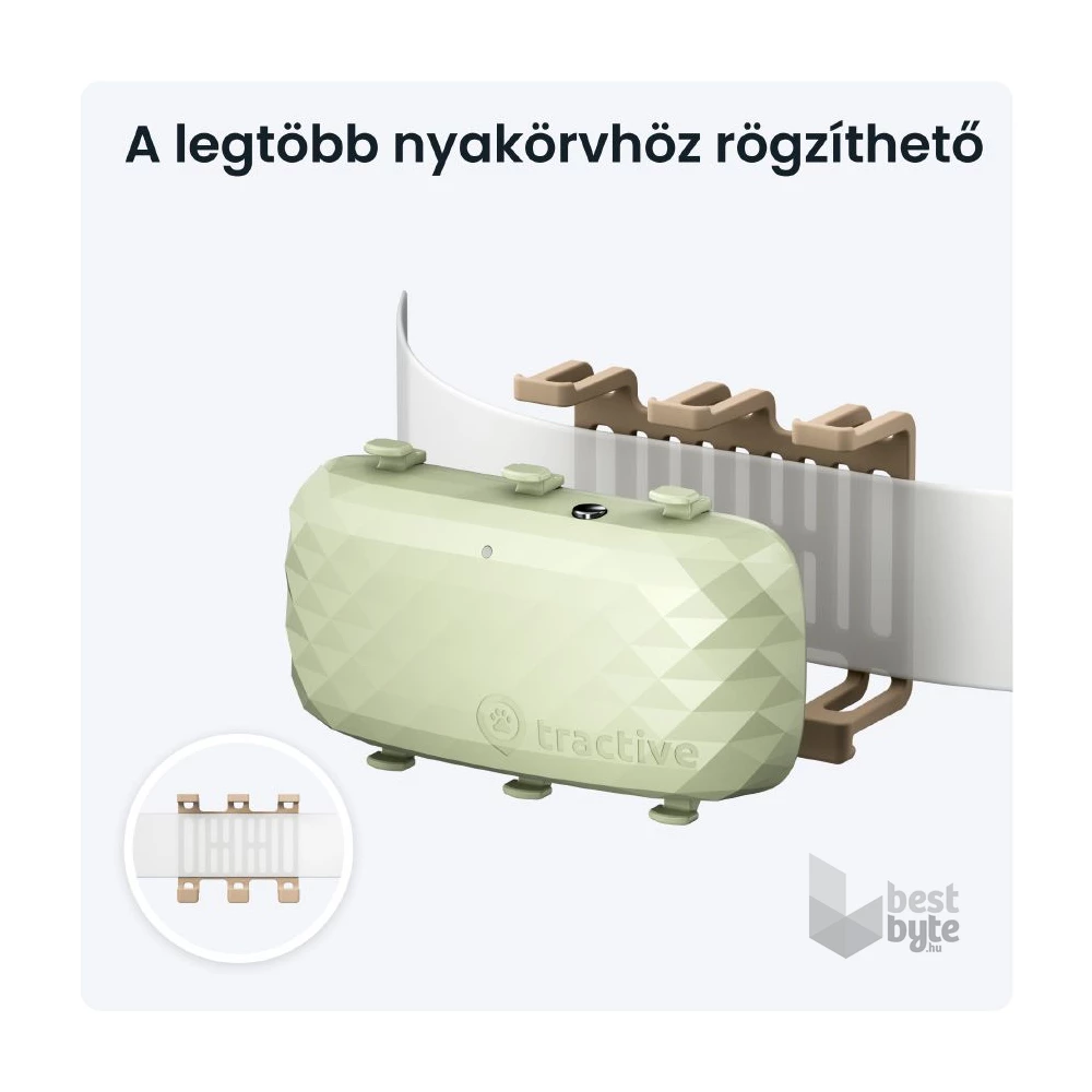 Tractive GPS DOG XL zöld kutya GPS nyomkövető és tevékenységfigyelő
