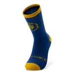 World of Warcraft Alliance kék/sárga zokni